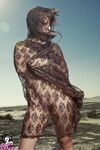 Sash Suicide 3 albums:Buffalo/Dust Storm/Gets Wet