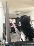 elizabethreed - Leaked Onlyfans