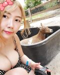 Velvet7 Patreon Pack