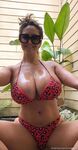 ava addams onlyfans