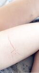 Belle Delphine Barbed Wire Set
