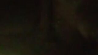 Fun for a day (Video 185)