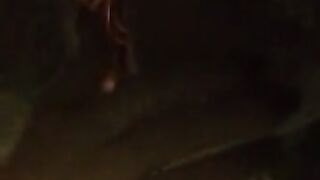 Fun for a day (Video 179)