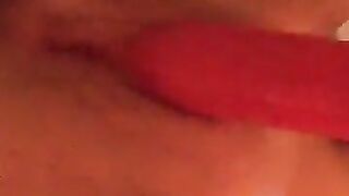 Fun for a day (Video 141)