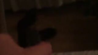 Fun for a day (Video 69)