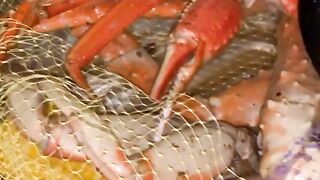 Misscindyy - Leaked (Video 112)