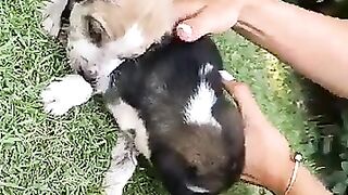 Ana's Snapchat (Video 230)