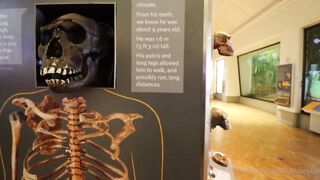 Sukoshicosplay Vlog Sex Tape