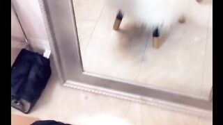 Priscillasweetz - Leaked Sexy Onlyfans (Video 21)