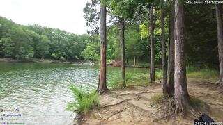 Kattpaccino - Live kat fish_2025.08.04