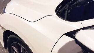 Faii Orapun Thai holy cow from BKK (Video 7)