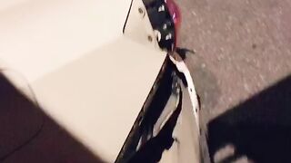 Faii Orapun Thai holy cow from BKK (Video 7)