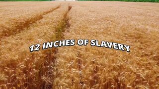A.R OF - 12 Inches Of Slavery