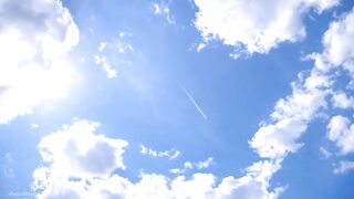 Aimeewavesxxx: Your Futa Mom