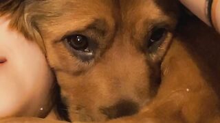 Yungestnugget Onlyfans (Video 90)