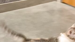 Yungestnugget Onlyfans (Video 10)