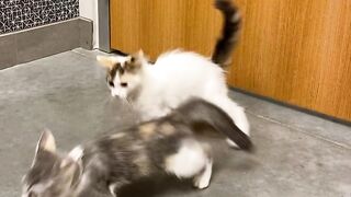 Yungestnugget Onlyfans (Video 10)