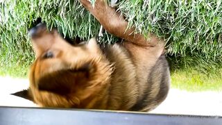 Yungestnugget Onlyfans (Video 82)