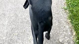 Yungestnugget Onlyfans (Video 81)