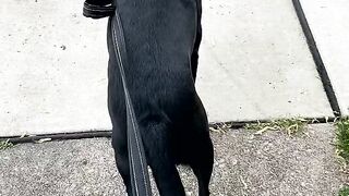 Yungestnugget Onlyfans (Video 81)