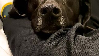 Yungestnugget Onlyfans (Video 48)