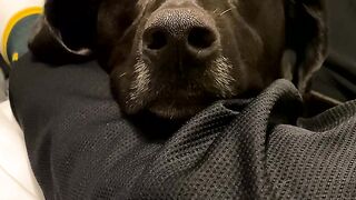 Yungestnugget Onlyfans (Video 48)