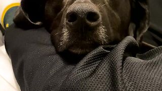 Yungestnugget Onlyfans (Video 48)