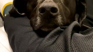 Yungestnugget Onlyfans (Video 48)