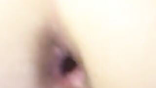 puravidacost (Video 163)