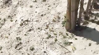 EVA LOVIA ~ fallinginlovia (Video 55)