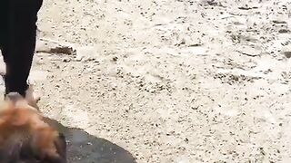 EVA LOVIA ~ fallinginlovia (Video 55)