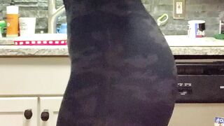 Bootylikeabackroad Leaked OnlyFans (Video 1)