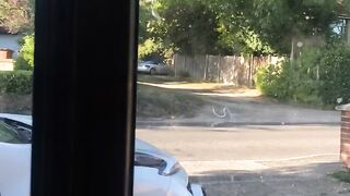 queenb94 OF (Video 1)