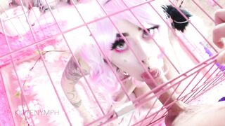 Kittenymph 7