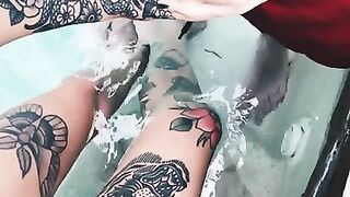 Entire Collection (Video 16)