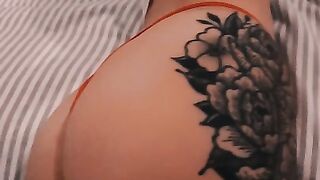 Entire Collection (Video 2)